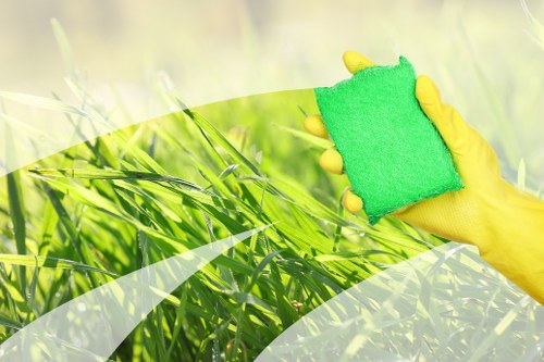 Window cleaning service for South Kensington residential and commercial properties