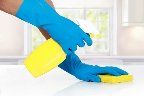 Professional carpet cleaning in a South Kensington home