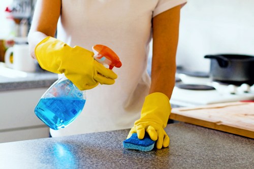 Detailed dust removal and surface cleaning in a South Kensington property