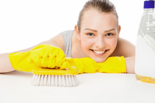 Professional cleaner working in a Southkensington kitchen and living space