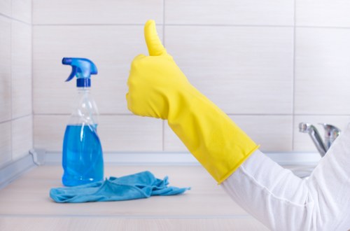 Carpet cleaning service appointment and preparation image