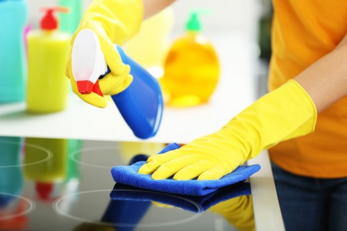 Steam cleaning a sofa in a South Kensington apartment with limited access