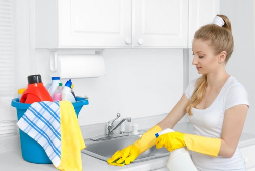Upholstery cleaning for a sofa in a Southkensington apartment