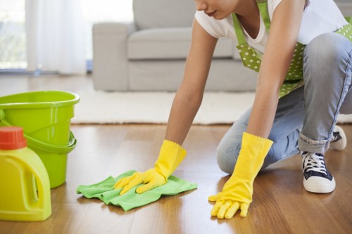 Local domestic cleaning for period property interiors in Southkensington